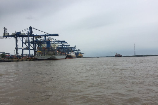 TP.HCM triển khai nhiều giải pháp bảo vệ môi trường lưu vực sông Đồng Nai