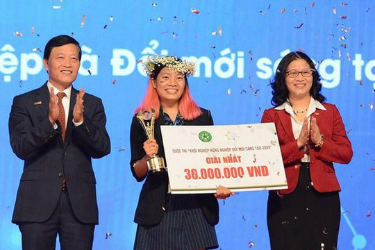 Dự án lá chuối Việt thay thế hộp xốp, túi nilon chiến thắng tại cuộc thi khởi nghiệp