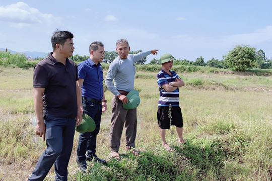 Lục Nam - Bắc Giang: Cần làm rõ tiền bán đất khiến ruộng đồng ở Tiên Nha hoang hóa