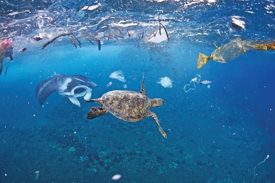 Ngăn ô nhiễm rác thải nhựa đại dương từ nguồn