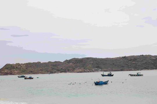 Bình Định: Giao quyền cho Tổ chức cộng đồng thực hiện đồng quản lý bảo vệ nguồn lợi thủy sản