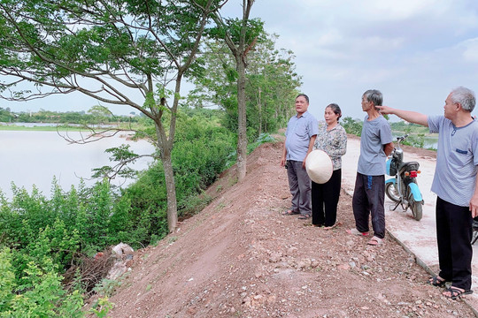 Hà Nội: Dự án sản xuất rau an toàn và nuôi trồng thuỷ sản bỏ hoang 7 năm
