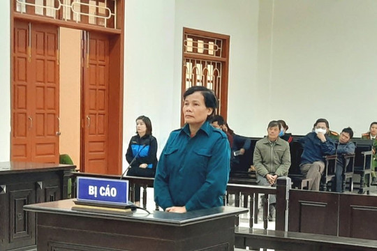 Ninh Bình: Cán bộ Chi cục thuế bị tuyên án 29 năm tù vì lừa đảo, chiếm đoạt tài sản