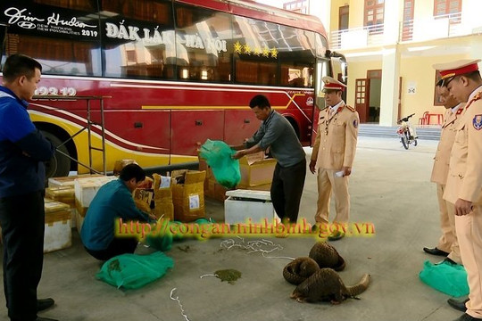 Ninh Bình: Bắt giữ xe khách vận chuyển động vật hoang dã