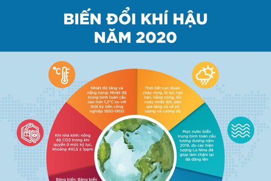 Infographic - Biến đổi khí hậu năm 2020 