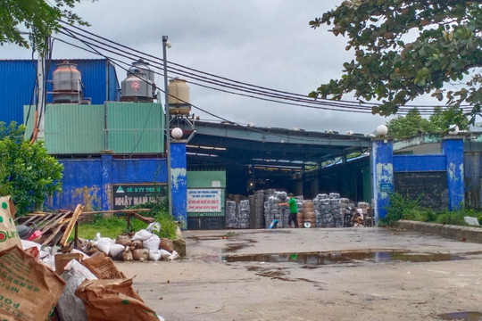 Bình Định: Công ty Phú Linh khai thác đất san gạt mặt bằng, xây nhà xưởng không phép