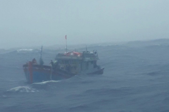 Tàu 737 kịp thời cứu 14 ngư dân Quảng Ngãi bị nạn trên biển