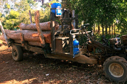 Bắt 1 xe công nông chở gỗ lậu
