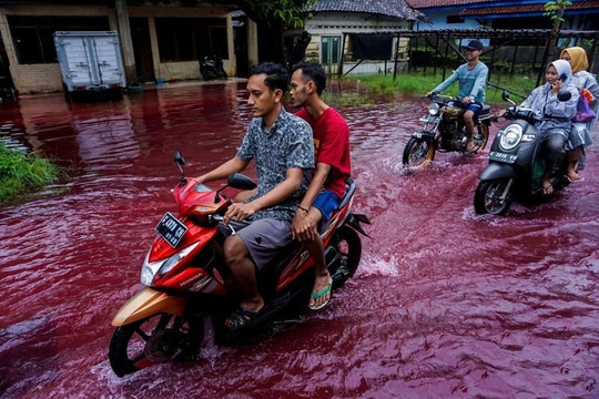 Ngôi làng ở Indonesia chìm trong nước lũ đỏ ngầu