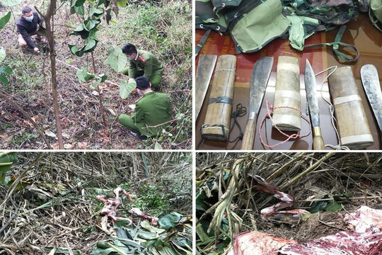 Thanh Hóa: Bắt nhóm đối tượng trộm cắp trâu bò liên tỉnh
