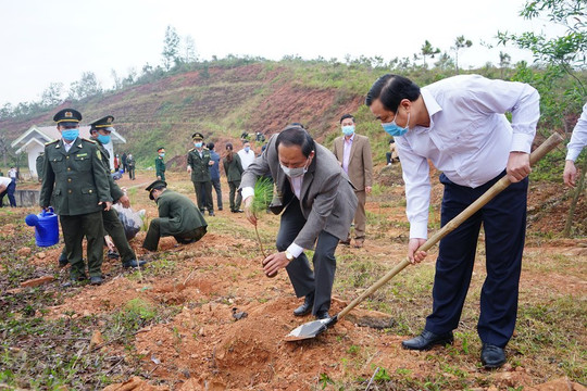 Quảng Nam: Hưởng ứng Chương trình trồng 1 tỷ cây xanh