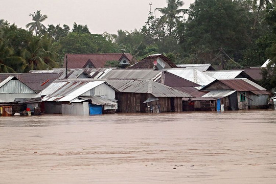 Hơn 5.000 người sơ tán vì bão Dujuan