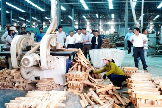 Quảng Nam: Nhân rộng các mô hình sản xuất và tiêu dùng bền vững