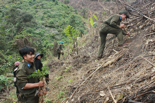 Quảng Nam: Trả “nợ” rừng xanh 