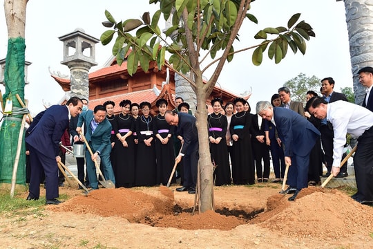 Bộ TN&MT triển khai Đề án phục hồi, phát triển hệ thống cây xanh nhằm ứng phó tình trạng khẩn cấp về BĐKH, ô nhiễm môi trường