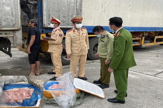 Thanh Hóa: Bắt giữ xe đầu kéo vận chuyển 10 tấn “thực phẩm bẩn”