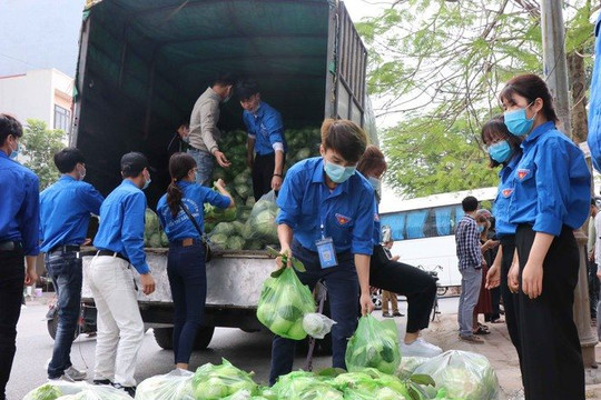 Bắc Ninh: Hỗ trợ tiêu thụ hơn 40 tấn nông sản của các HTX vùng dịch