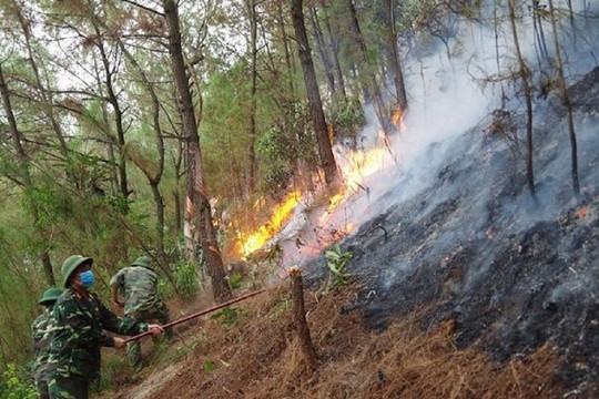 Nghệ An: Phòng cháy, chữa cháy rừng là nhiệm vụ trọng tâm
