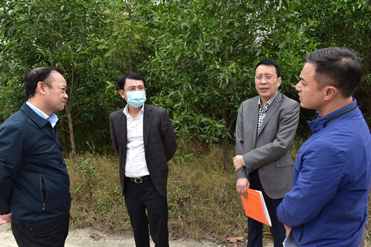 Phó Chủ tịch UBND TP Hà Nội Nguyễn Trọng Đông: Đẩy nhanh tiến độ các nhà máy xử lý rác thải