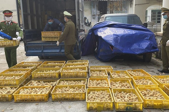  Lạng Sơn bắt giữ nhiều mặt hàng không rõ nguồn gốc số lượng lớn 