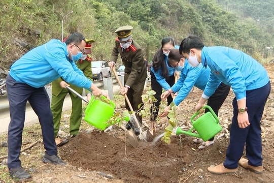 Hưởng ứng Ngày bảo vệ rừng thế giới - Chung tay phủ xanh Trái Đất: Quà tặng cho thế hệ tương lai