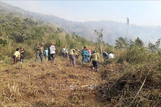 Lai Châu: Quyết liệt các biện pháp quản lý bảo vệ và phòng cháy, chữa cháy rừng