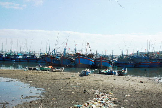 Cảng Sa Huỳnh bị bồi lấp, hàng trăm tàu cá Quảng Ngãi nằm bờ 