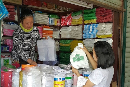 Đà Nẵng: Triển khai Dự án “Đô thị giảm nhựa” tại quận Thanh Khê 
