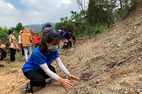 Sinh viên Đà Nẵng trồng 1.000 cây xanh gây dựng Công viên khoa học