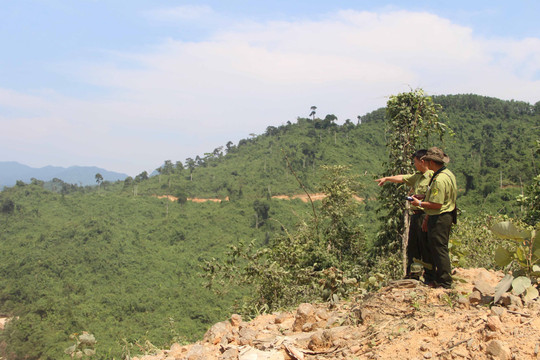 Thừa Thiên Huế: Tăng cường công tác quản lý, bảo vệ rừng 