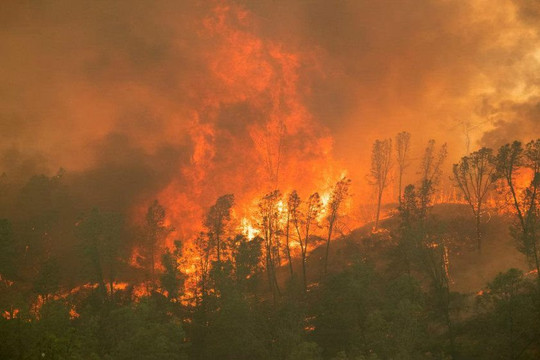 Cháy rừng lớn hoành hành nước Mỹ, 200 ngôi nhà phải sơ tán