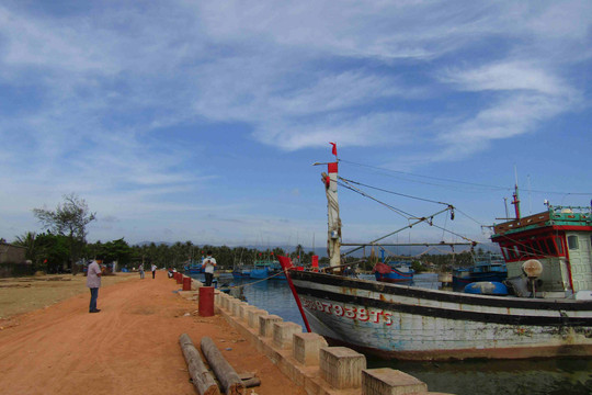 Bình Định: Cảng cá tổng hợp khu E đáp ứng nhu cầu dịch vụ hậu cần nghề cá Hoài Nhơn 