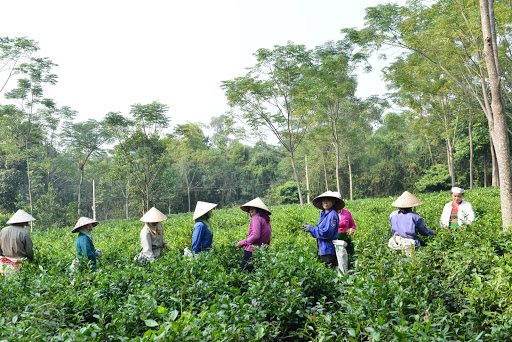 Đảm bảo công bằng trong phân bổ vốn ưu đãi cho đồng bào miền núi