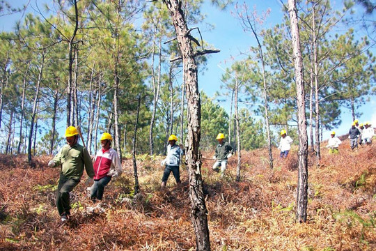Chính sách chi trả DVMTR ở Cao Bằng: Góp phần bảo vệ môi trường, người dân được hưởng lợi