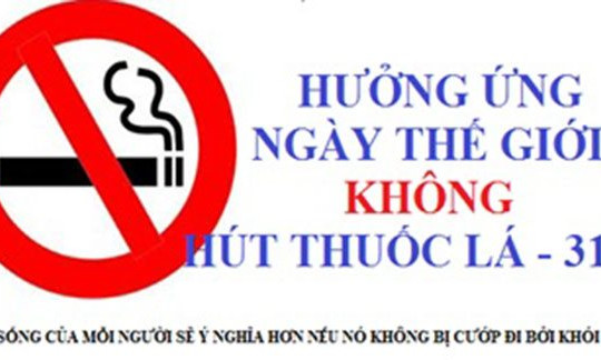 Bộ TN&MT hưởng ứng Ngày Thế giới không thuốc lá, Tuần lễ Quốc gia không thuốc lá