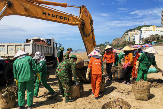 Thu gom hàng chục tấn rác trôi dạt vào bờ biển Vũng Tàu