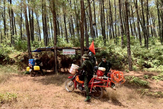 Thừa Thiên Huế: Tăng cường các biện pháp cấp bách phòng cháy, chữa cháy rừng