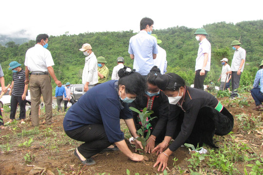 Nậm Nhùn (Lai Châu): Phát động trồng rừng hưởng ứng chương trình trồng 1 tỷ cây xanh
