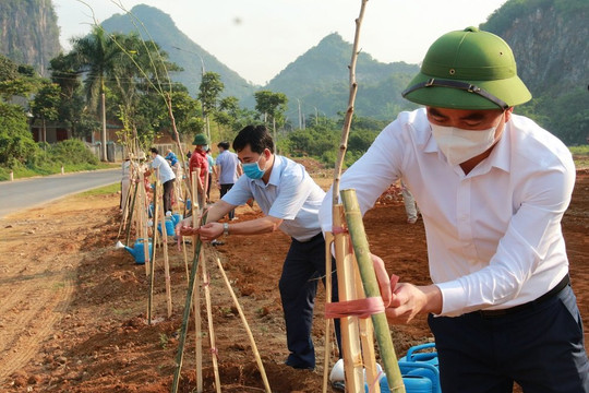 Sơn La: Phấn đấu trồng 14,2 triệu cây xanh giai đoạn 2021-2025