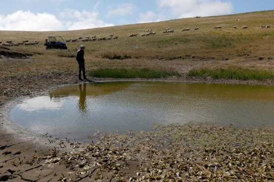 Hạn hán khiến các hồ nước ở phía Tây nước Mỹ cạn kiệt đến mức báo động