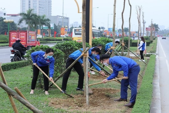 Thanh Hóa: Hỗ trợ hơn 700 triệu đồng thực hiện Kế hoạch trồng cây xanh năm 2021