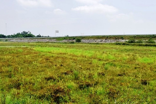 Đà Nẵng: Tháo gỡ vướng mắc cho hàng trăm ha đất nông nghiệp không sản xuất được