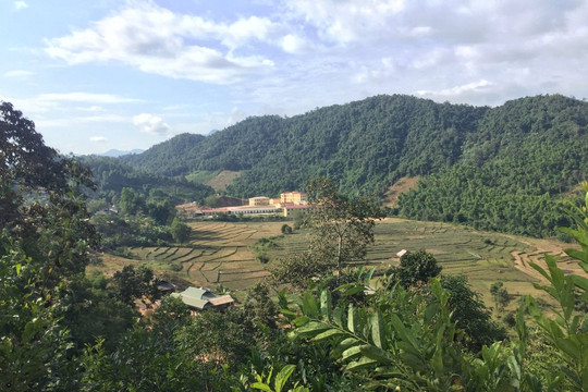 Nậm Pồ (Điện Biên): Phát triển rừng nhờ chính sách chi trả dịch vụ môi trường rừng