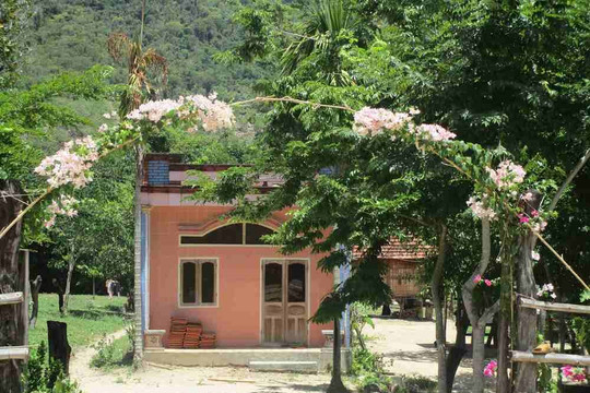 Bình Định: Làng của người Bana Vĩnh Thuận sạch đẹp từ ngõ vào nhà