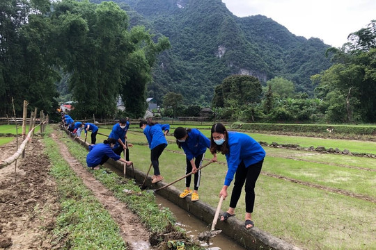 Hạ Lang (Cao Bằng): Thanh niên DTTS trồng mới hơn 24.800 cây xanh
