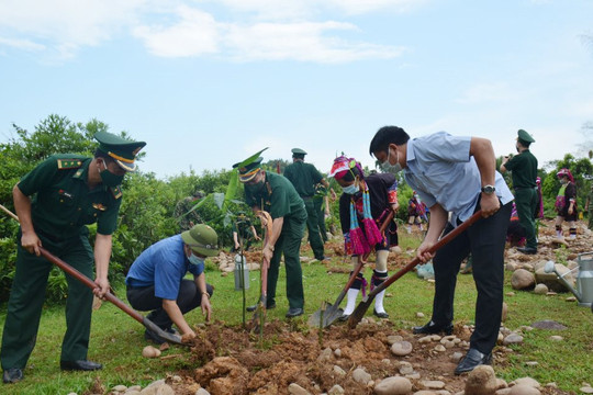 Quảng Ninh: Phát động phong trào trồng tre bảo vệ biên giới
