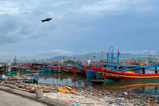 Quảng Bình: Hỗ trợ 21 tỷ đồng cho chủ tàu cá khai thác vùng biển xa