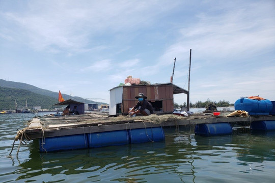 Dân nuôi cá bè ở vịnh Mân Quang lo lắng trước thời điểm di dời