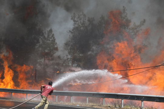 8 người Thổ Nhĩ Kỳ thiệt mạng vì cháy rừng nghiêm trọng