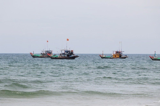 Quảng Ngãi: Điều tra vụ 3 ngư dân tử vong khi đang hành nghề trên biển